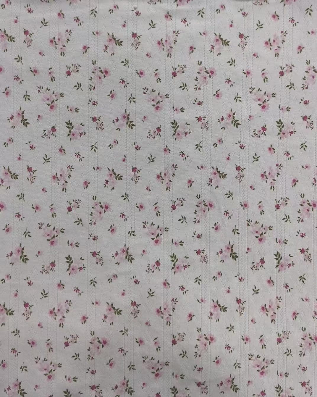 KB3505 COTTON SPN POINTELLE RIB PEACH