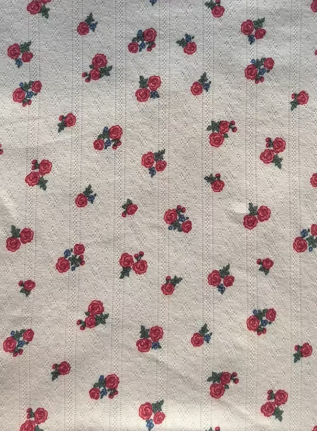 KB3545 COTTON SPN POINTELLE RIB PEACH