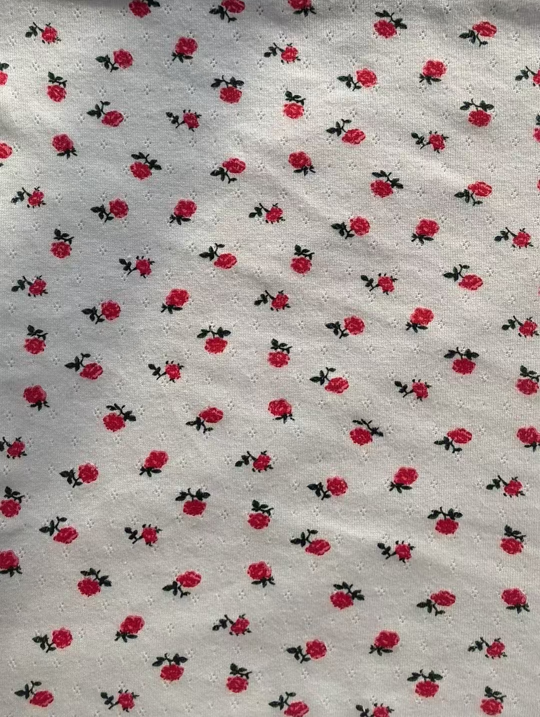 KB3492 COTTON POINTELLE